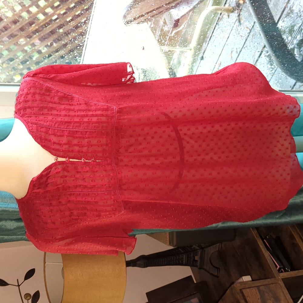 Pretty red blouse